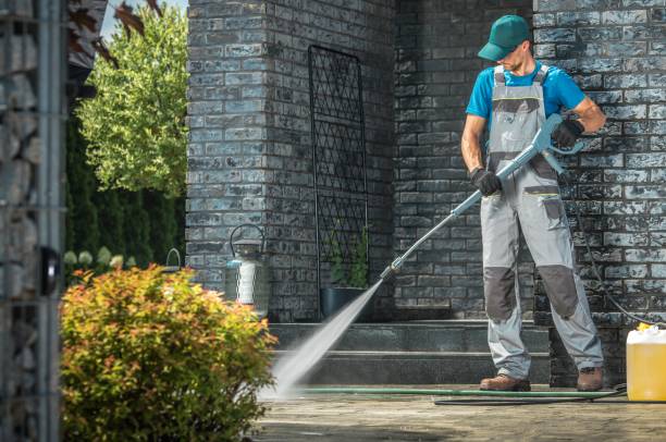 Best Pre-Holiday Cleaning  in Capac, MI