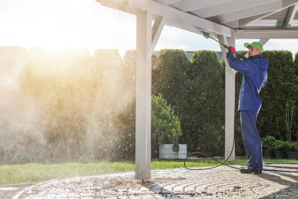 Best Pool Deck Cleaning  in Capac, MI