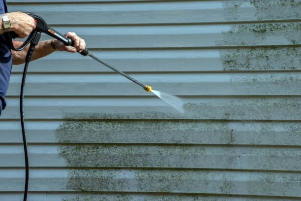 Best Boat and Dock Cleaning  in Capac, MI