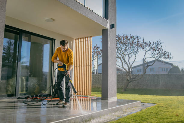 Best Roof Washing  in Capac, MI