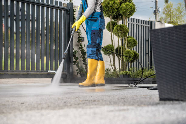 Animal Enclosure Cleaning in Capac, MI