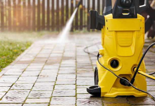 Best Gutter Cleaning  in Capac, MI