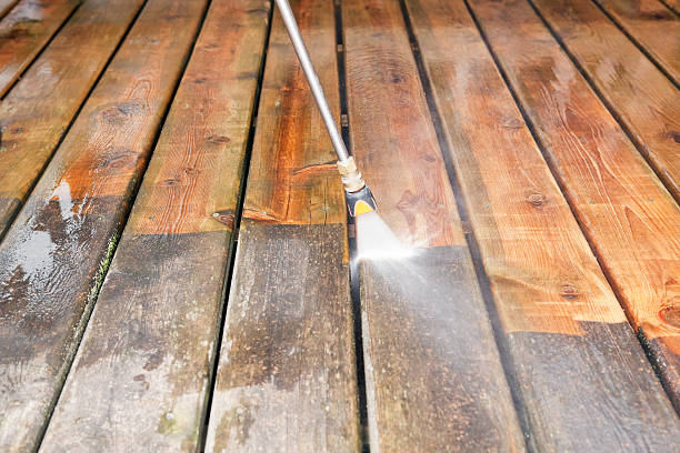 Best Rust Removal  in Capac, MI